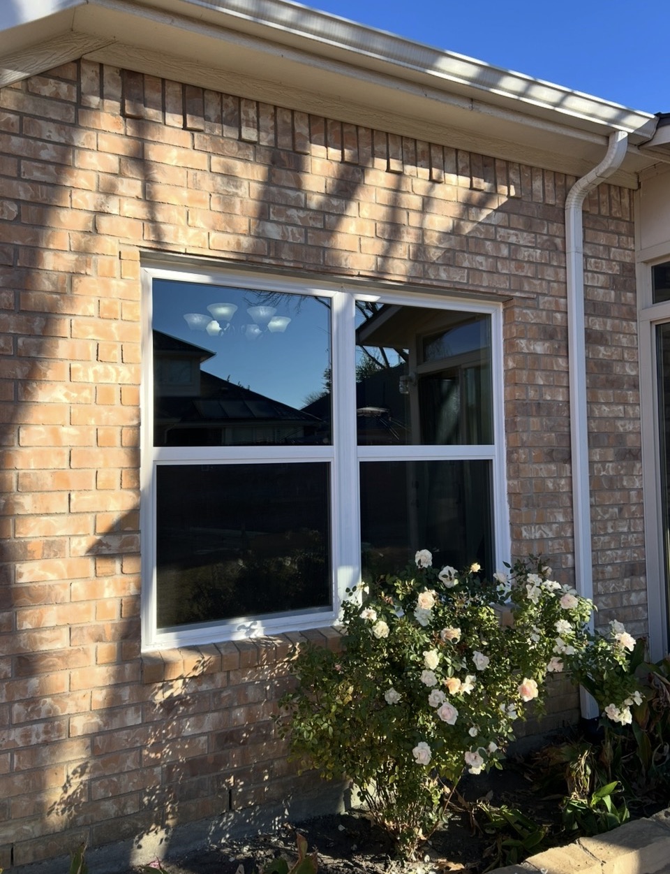 Window Installation Project 2